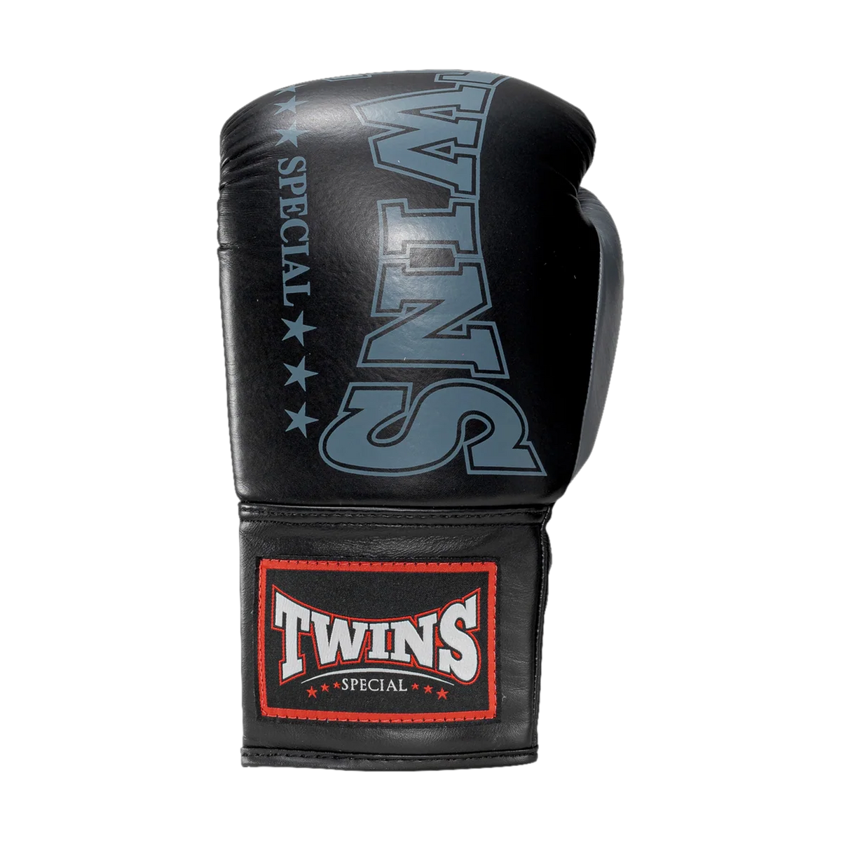 Twins Special boxing gloves
