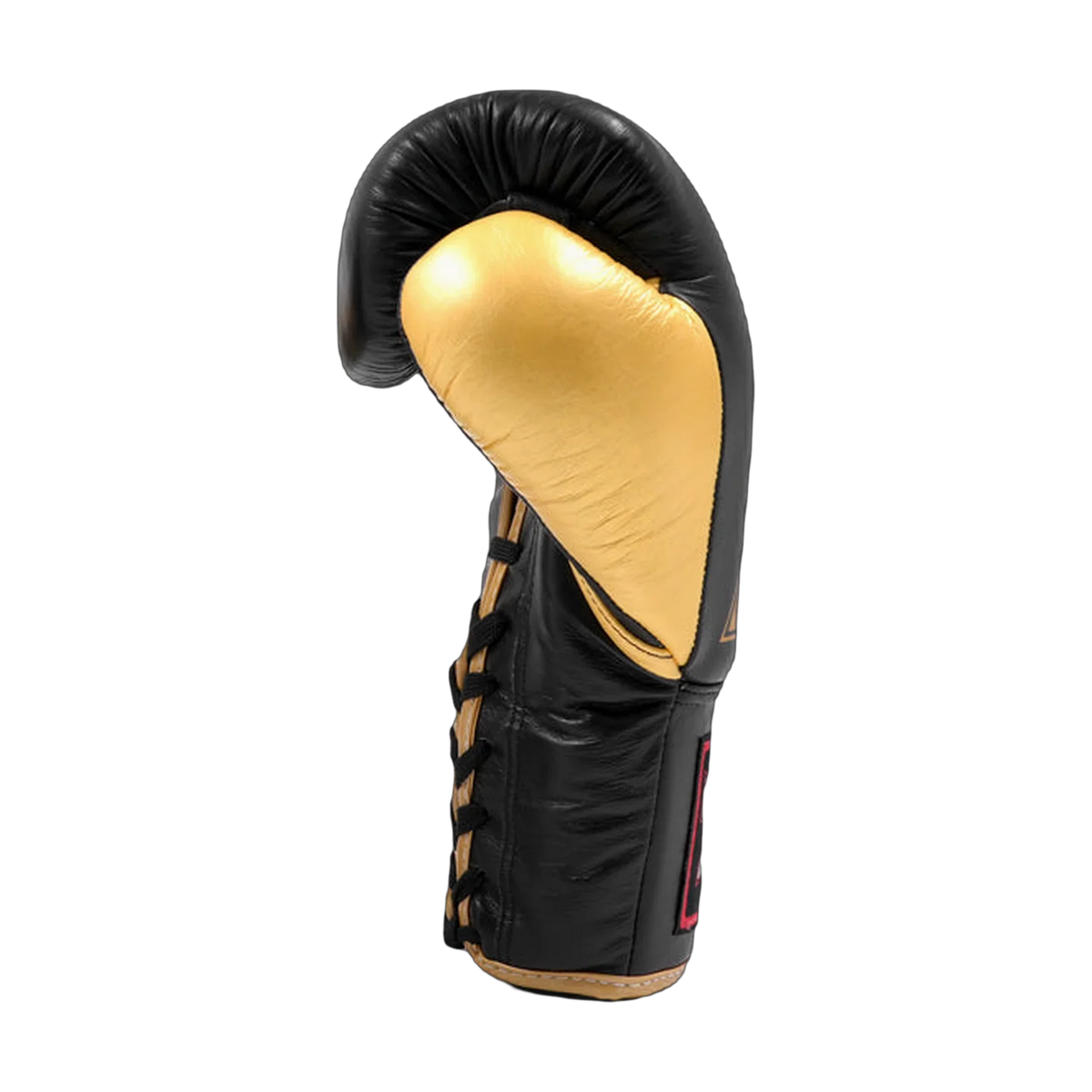 Twins Special boxing gloves