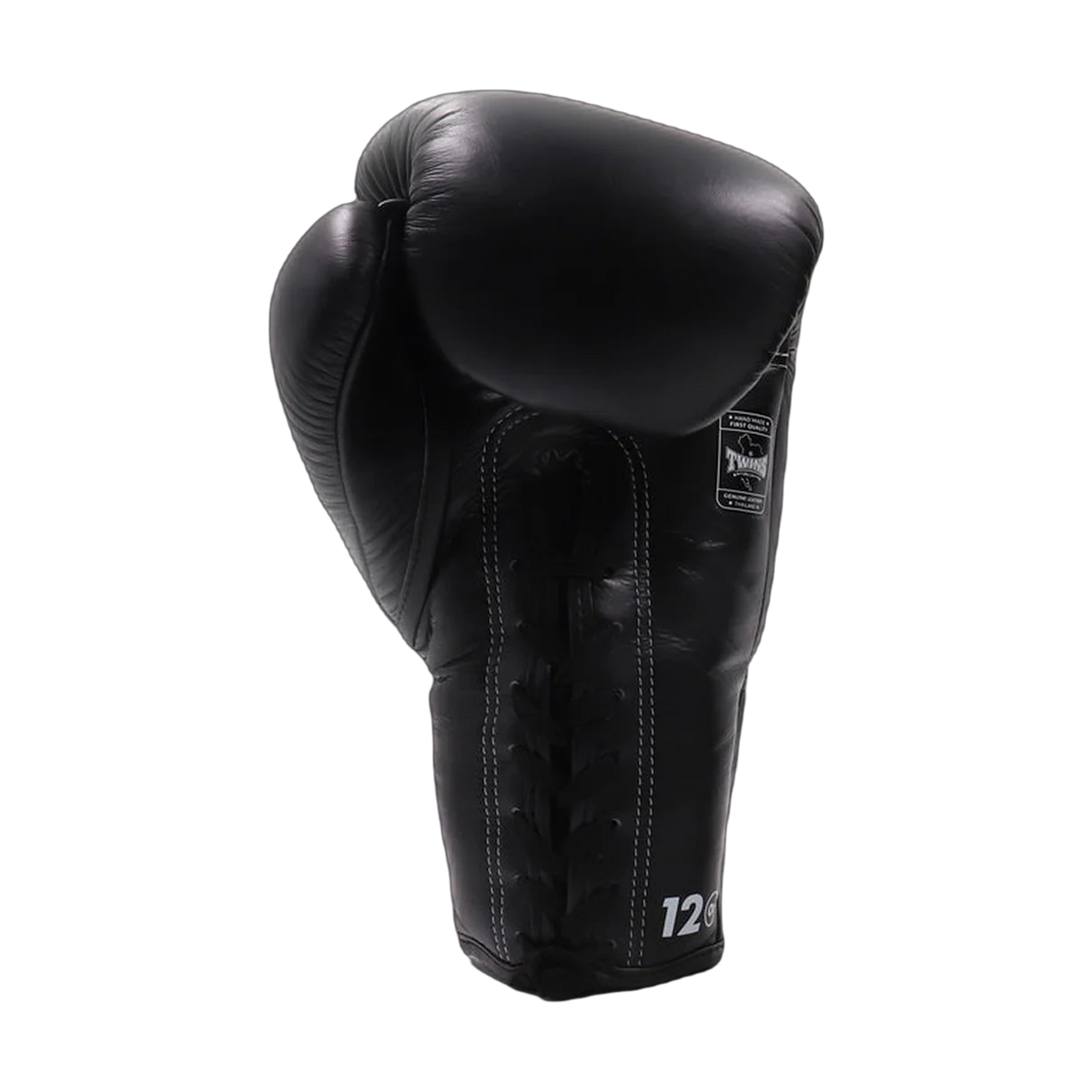 Twins Special boxing gloves