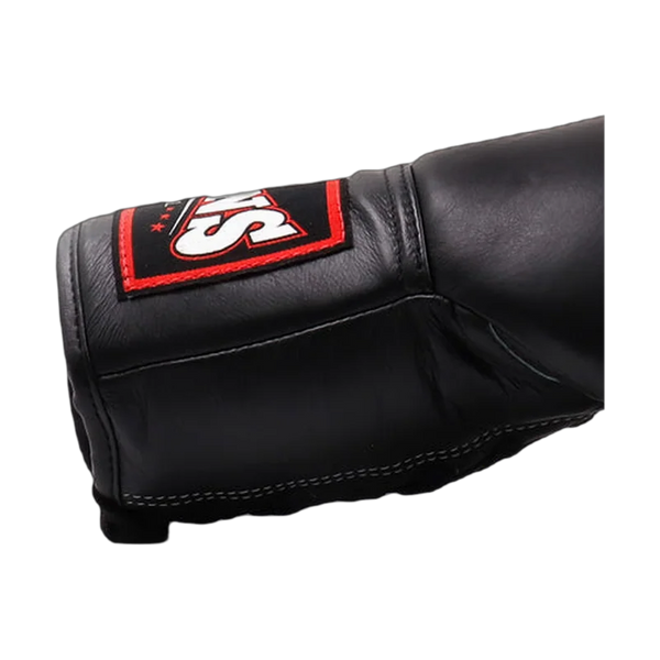 Twins Special boxing gloves