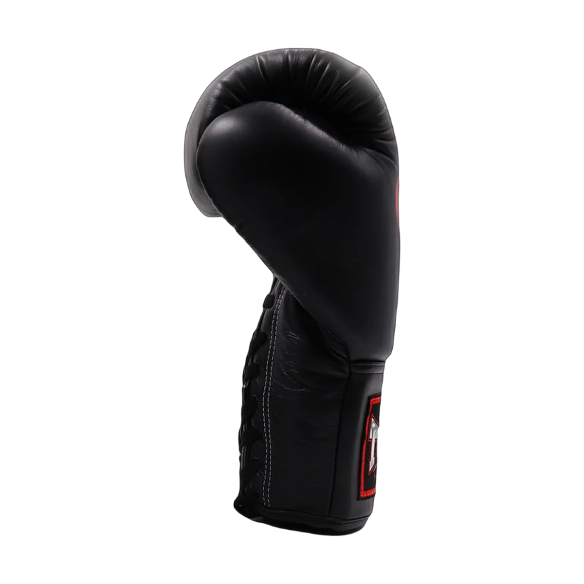 Twins Special boxing gloves