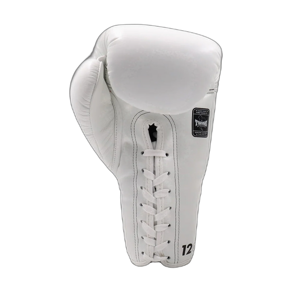 Twins Special boxing gloves