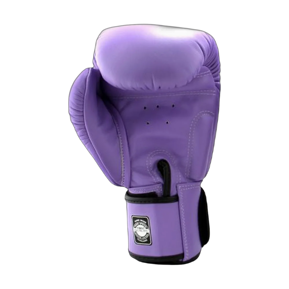 Twins Special boxing gloves