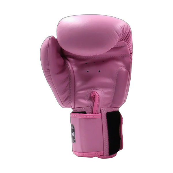 Twins Special boxing gloves