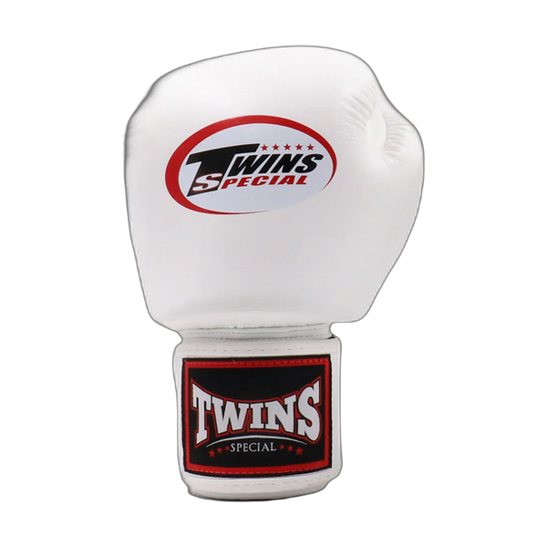 Twins Special boxing gloves