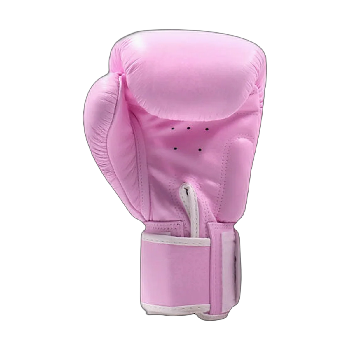 Twins Special boxing gloves