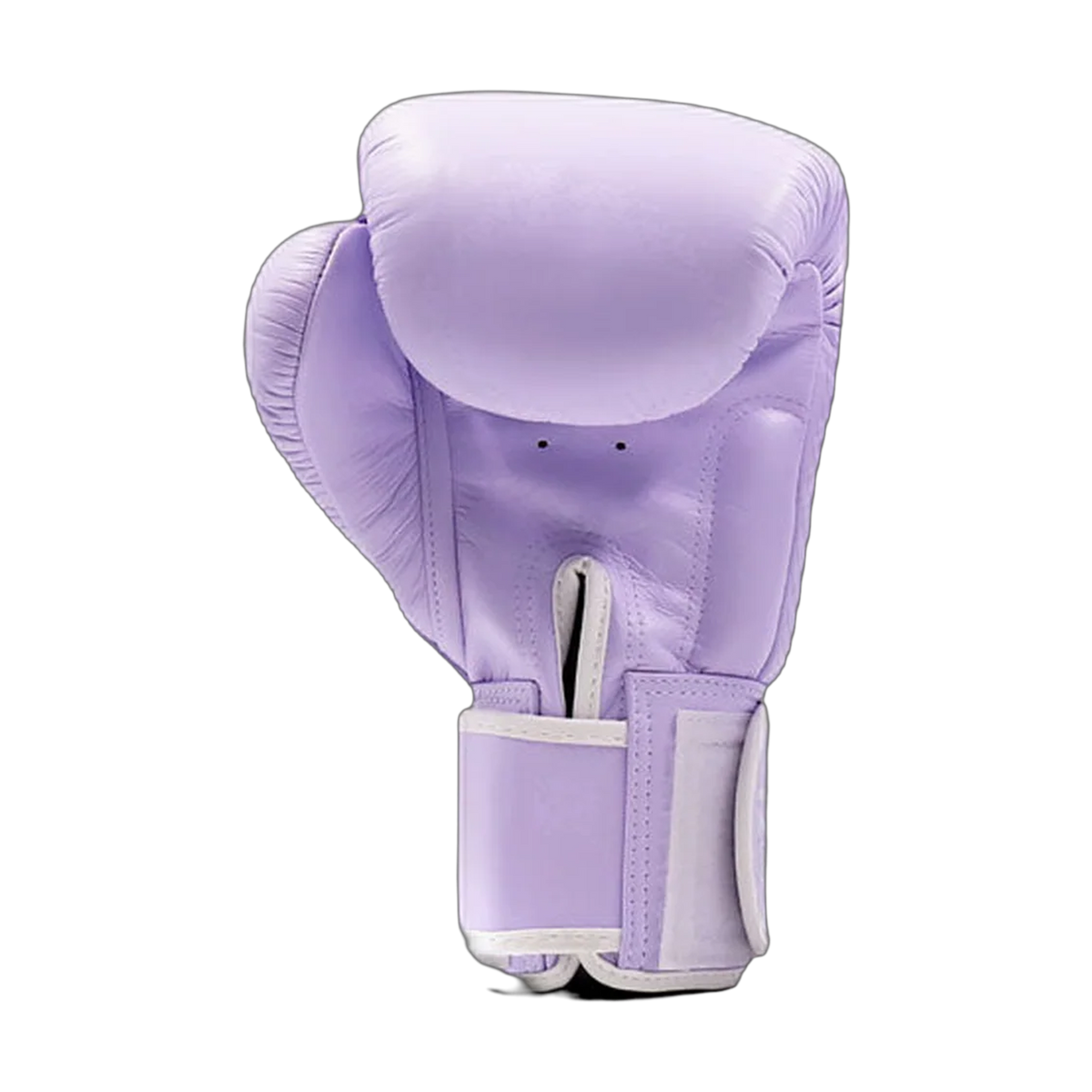 Twins Special boxing gloves