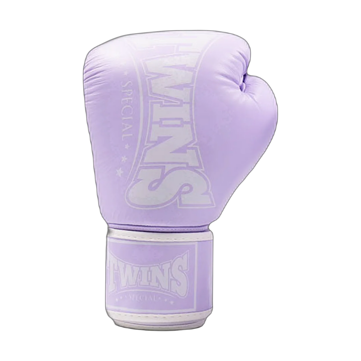Twins Special boxing gloves