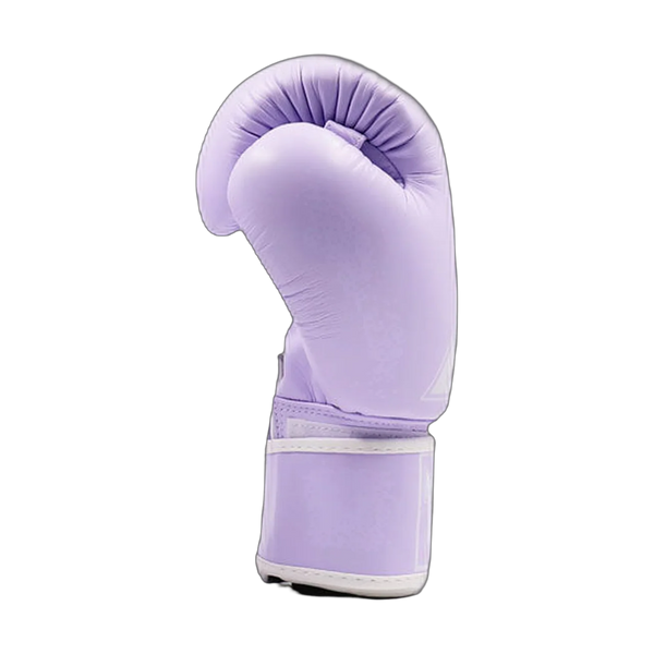 Twins Special boxing gloves