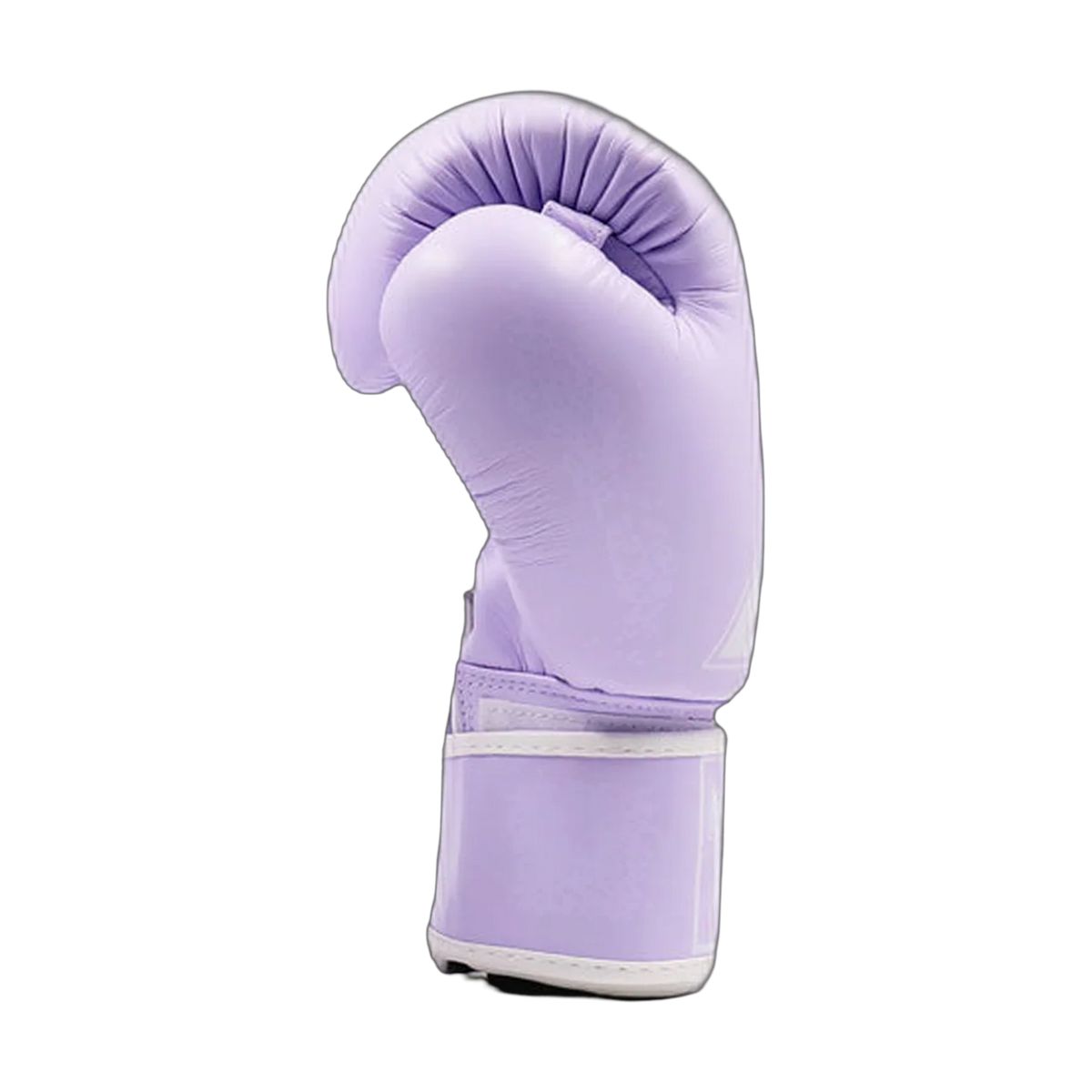 Twins Special boxing gloves