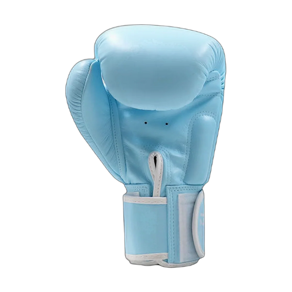 Twins Special boxing gloves