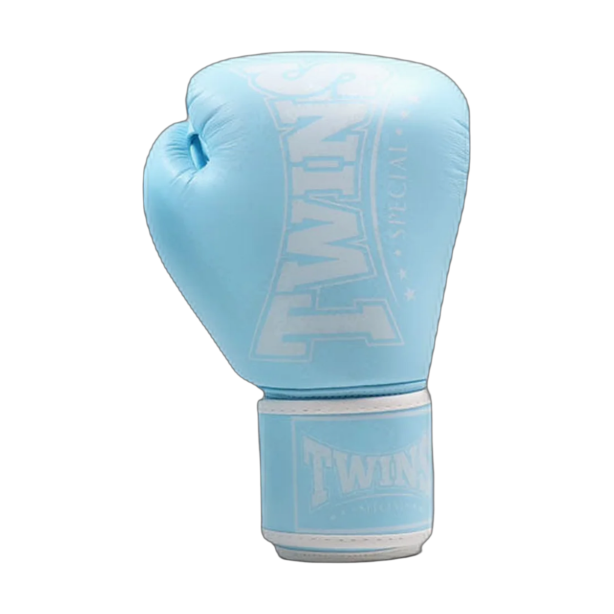 Twins Special boxing gloves