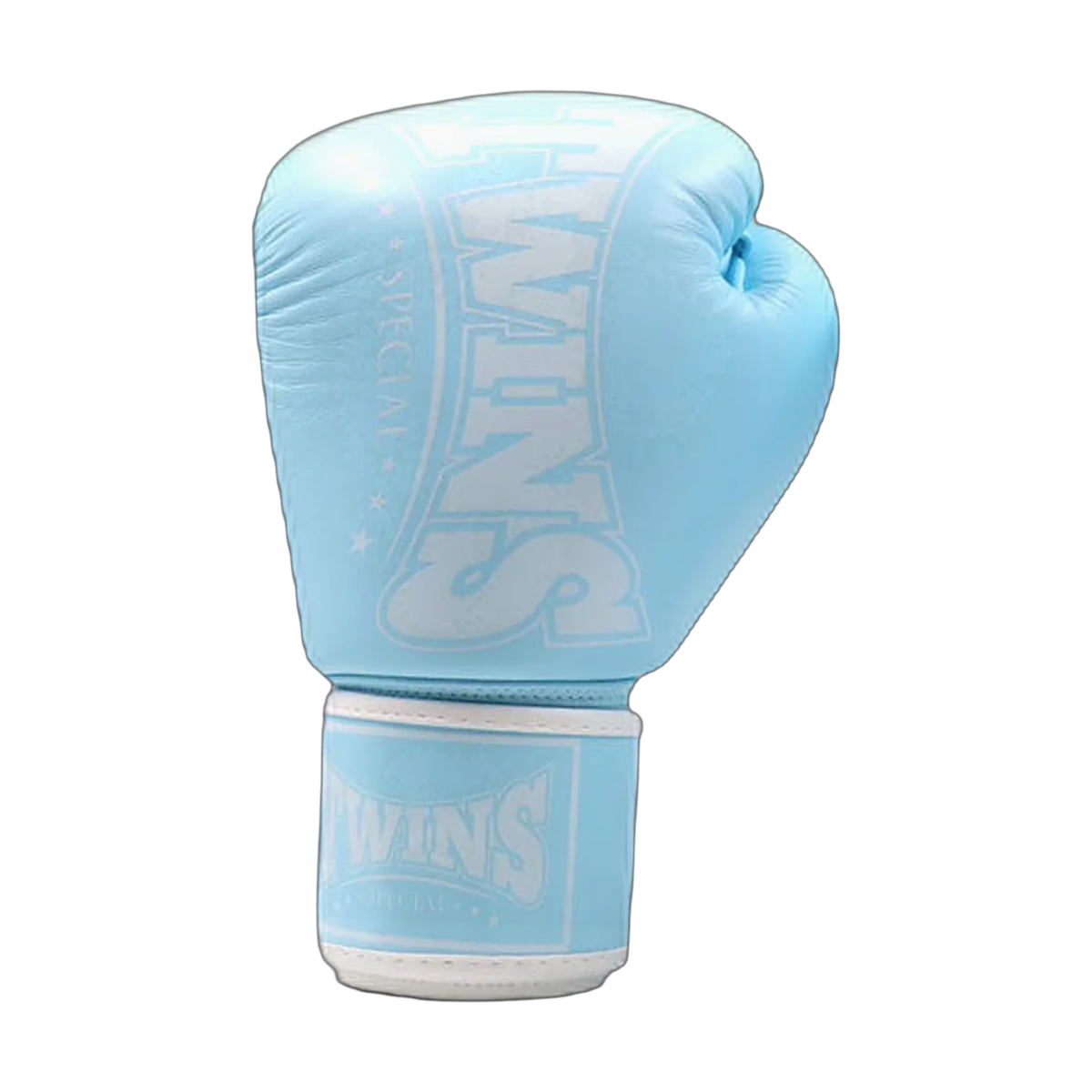 Twins Special boxing gloves