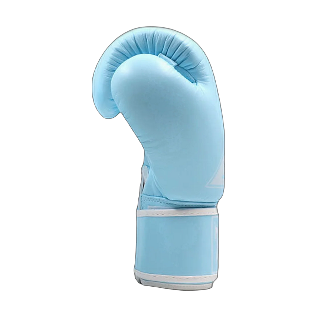 Twins Special boxing gloves